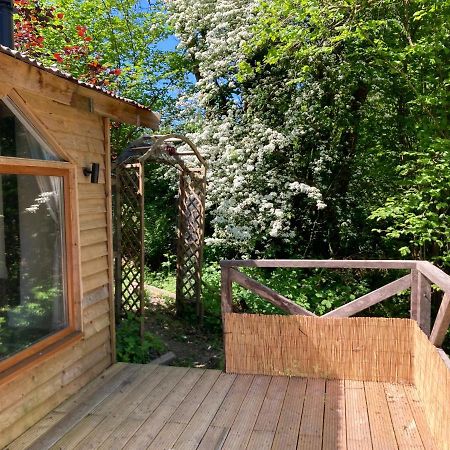 Honey Bee Cabin Llandysul Extérieur photo