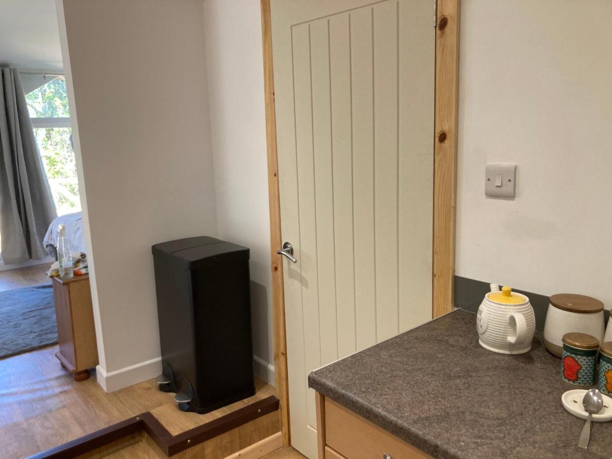 Honey Bee Cabin Llandysul Extérieur photo
