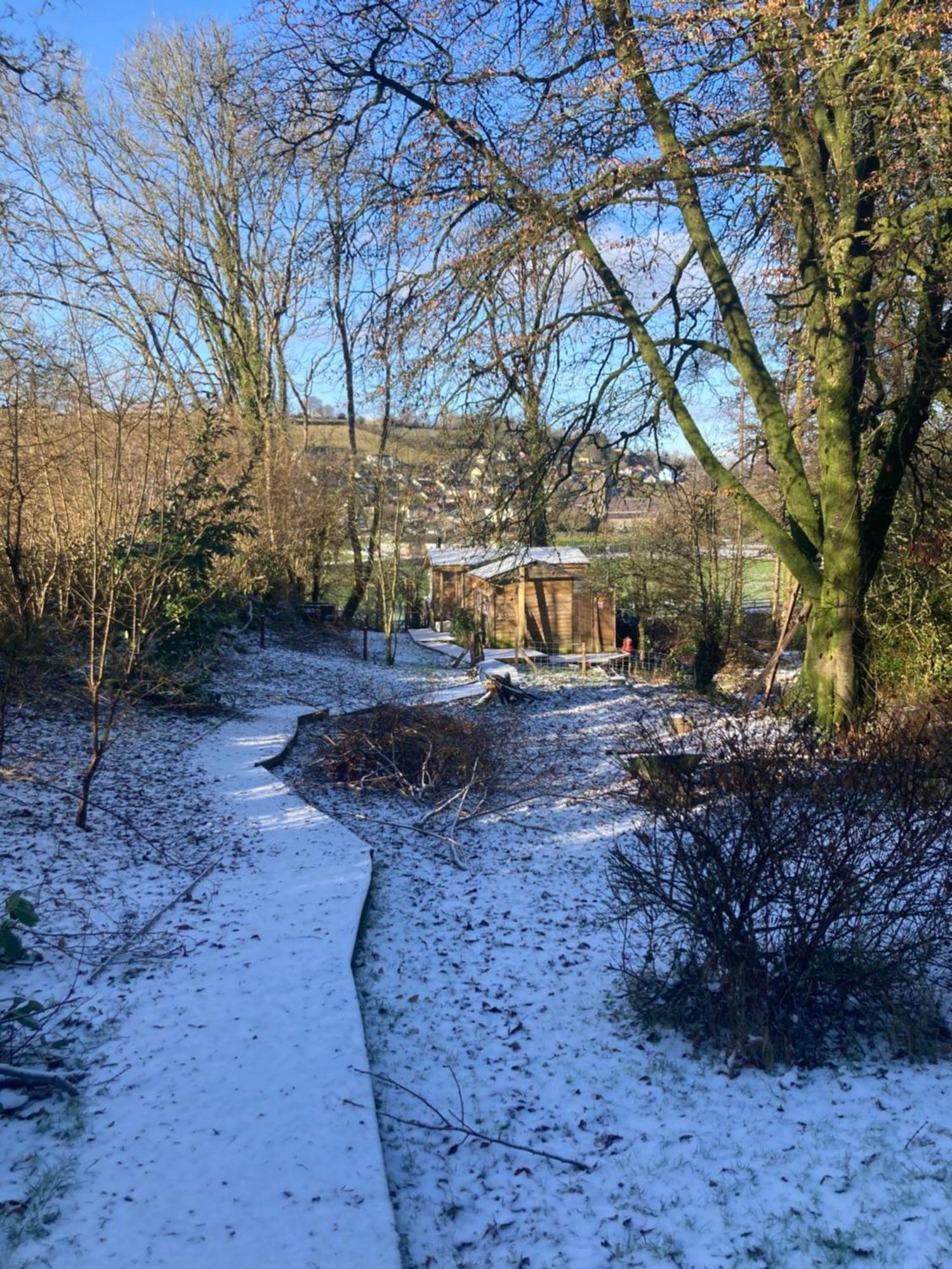 Honey Bee Cabin Llandysul Extérieur photo